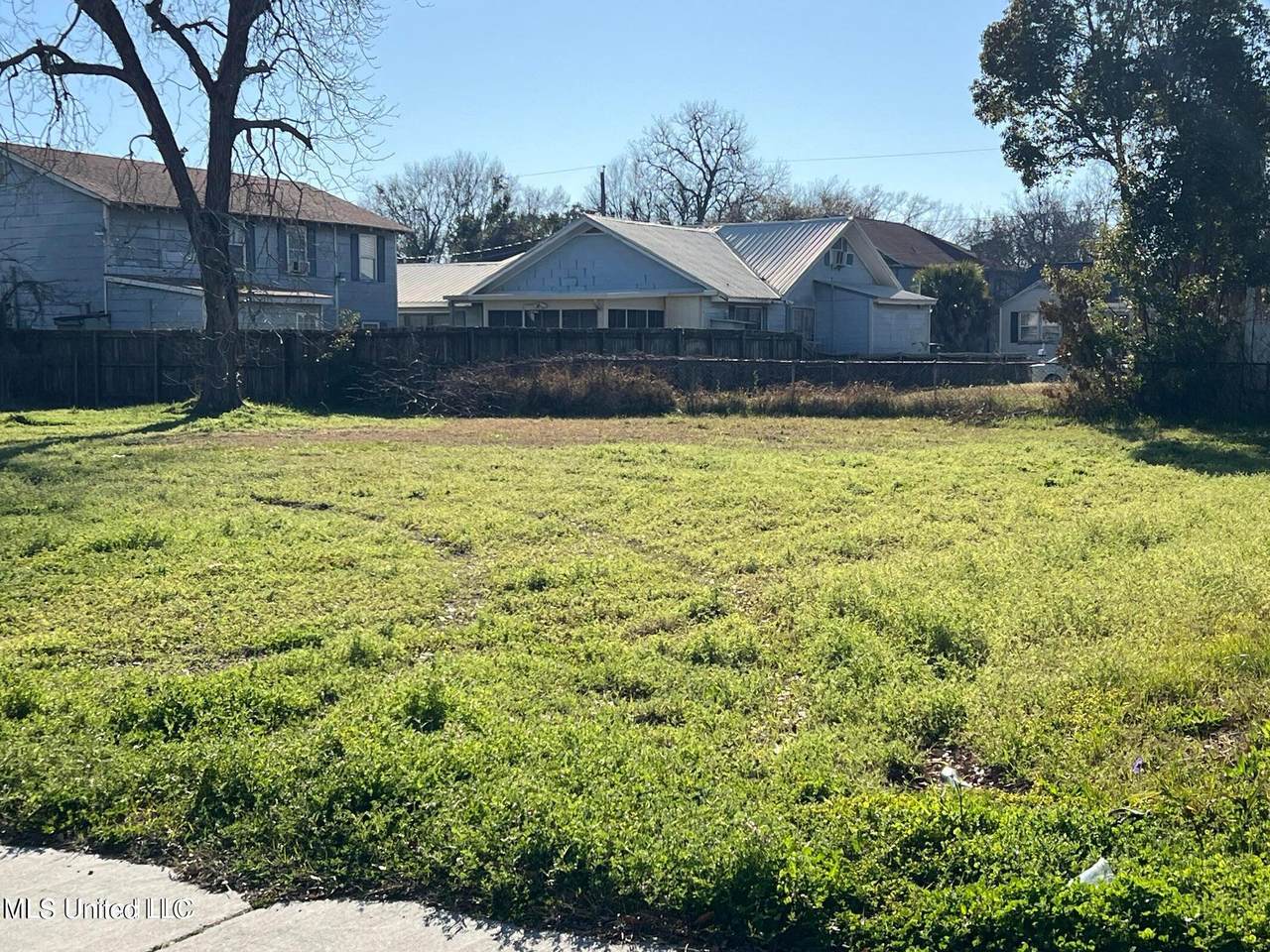 317 Lameuse Street - Photo 1