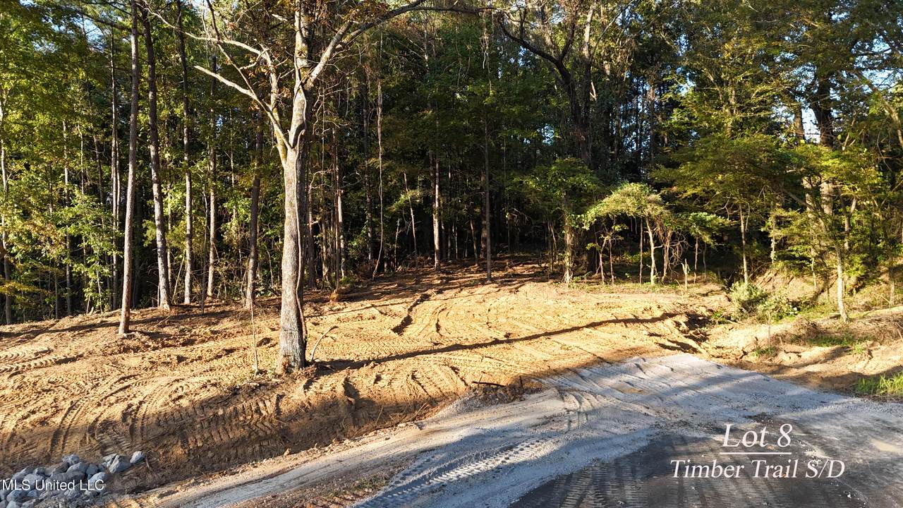 8 Tyro Branch Cove - Photo 1