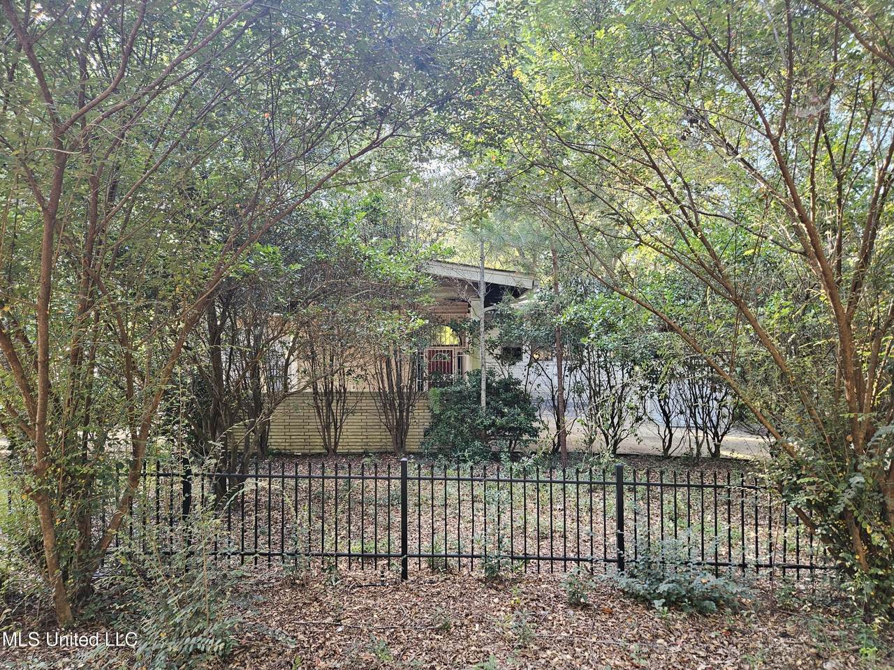 120 Myrtle Street - Photo 1