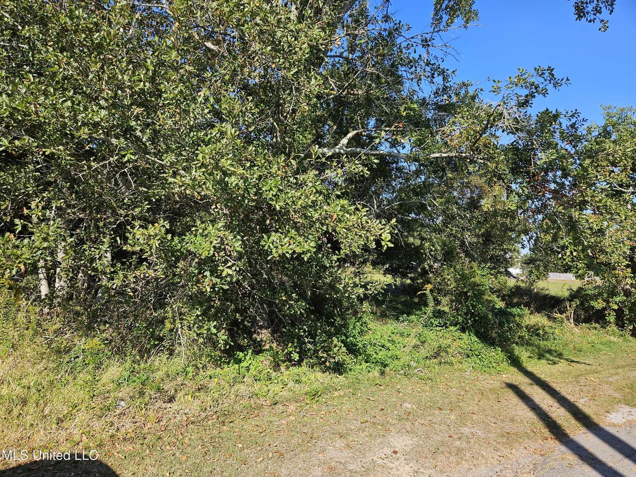 9479 Grady Lane - Photo 1