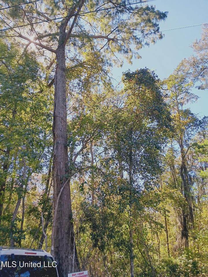 Riverroad Drive - Photo 1