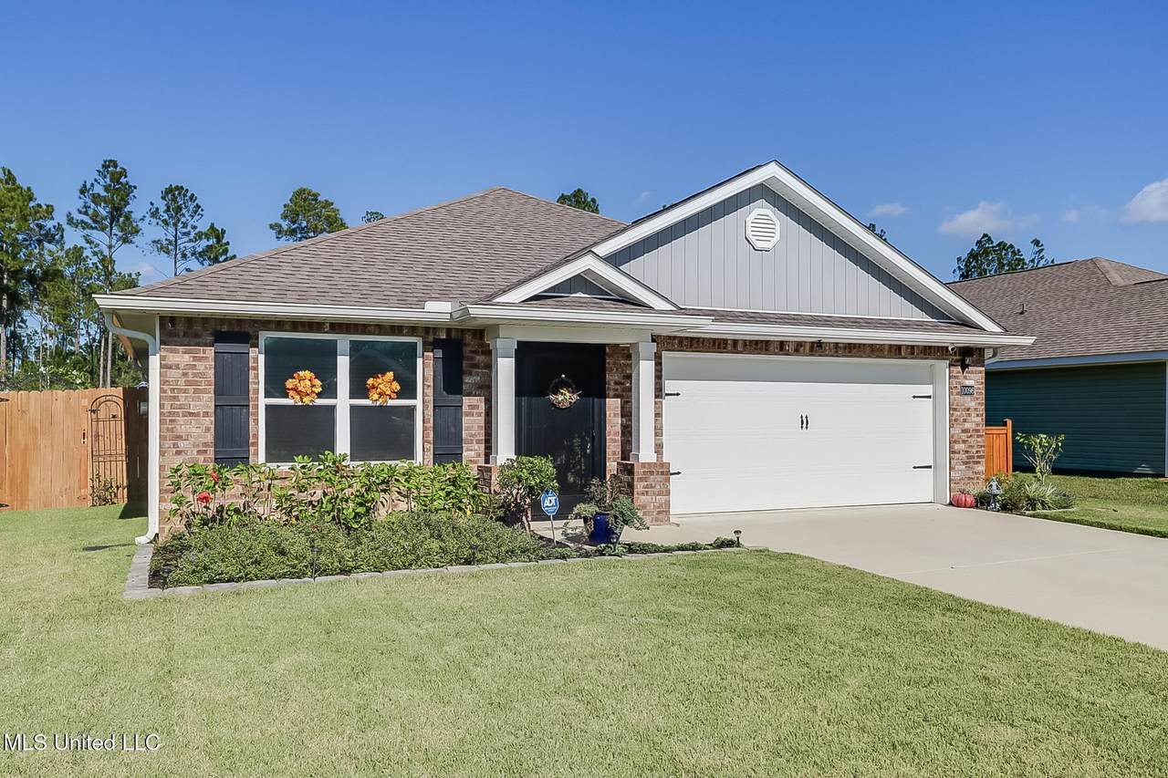 10096 Willow Leaf Drive - Photo 1