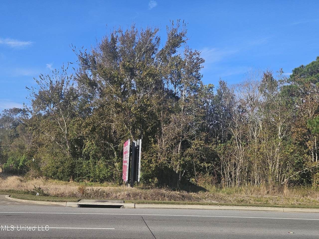 0 Highway 49 - Photo 1