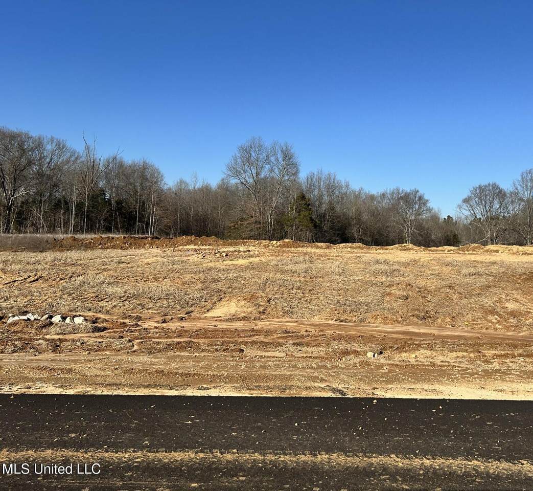 6 Pebble View Drive - Photo 1