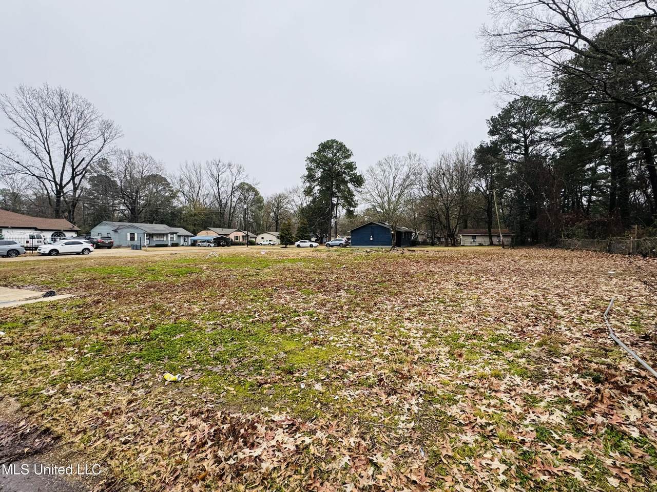 5523 Crepe Myrtle Drive - Photo 1