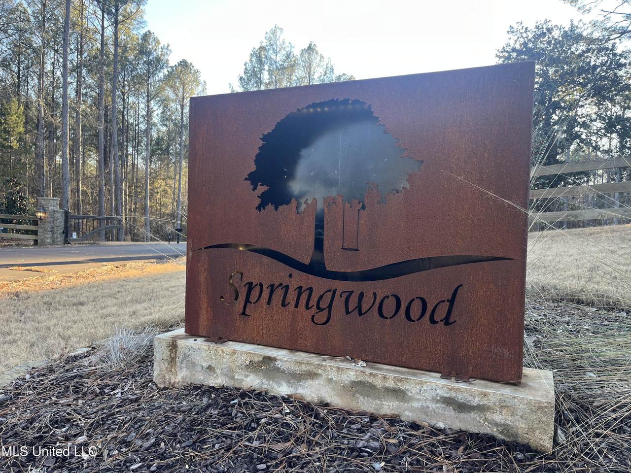  Springwood Trail - Photo 1