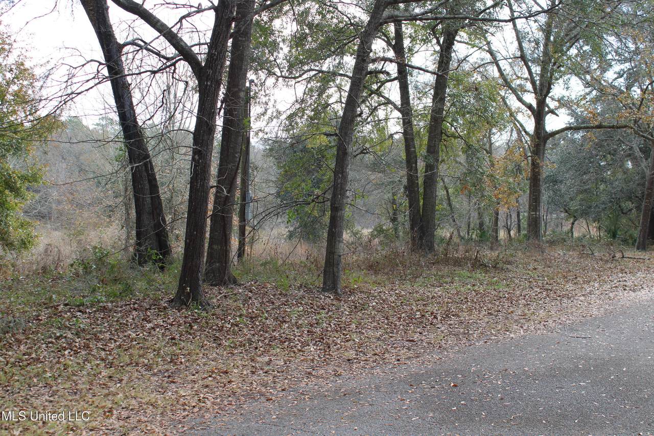 1500 Barracuda Drive - Photo 1