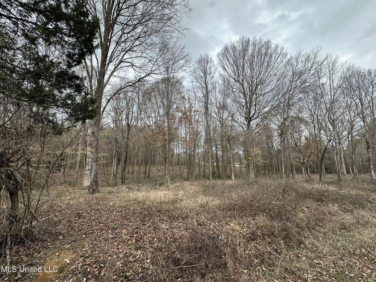 0 Futch Road Road - Photo 1