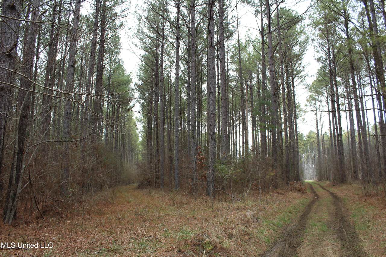  Co Rd 2414 - Photo 1