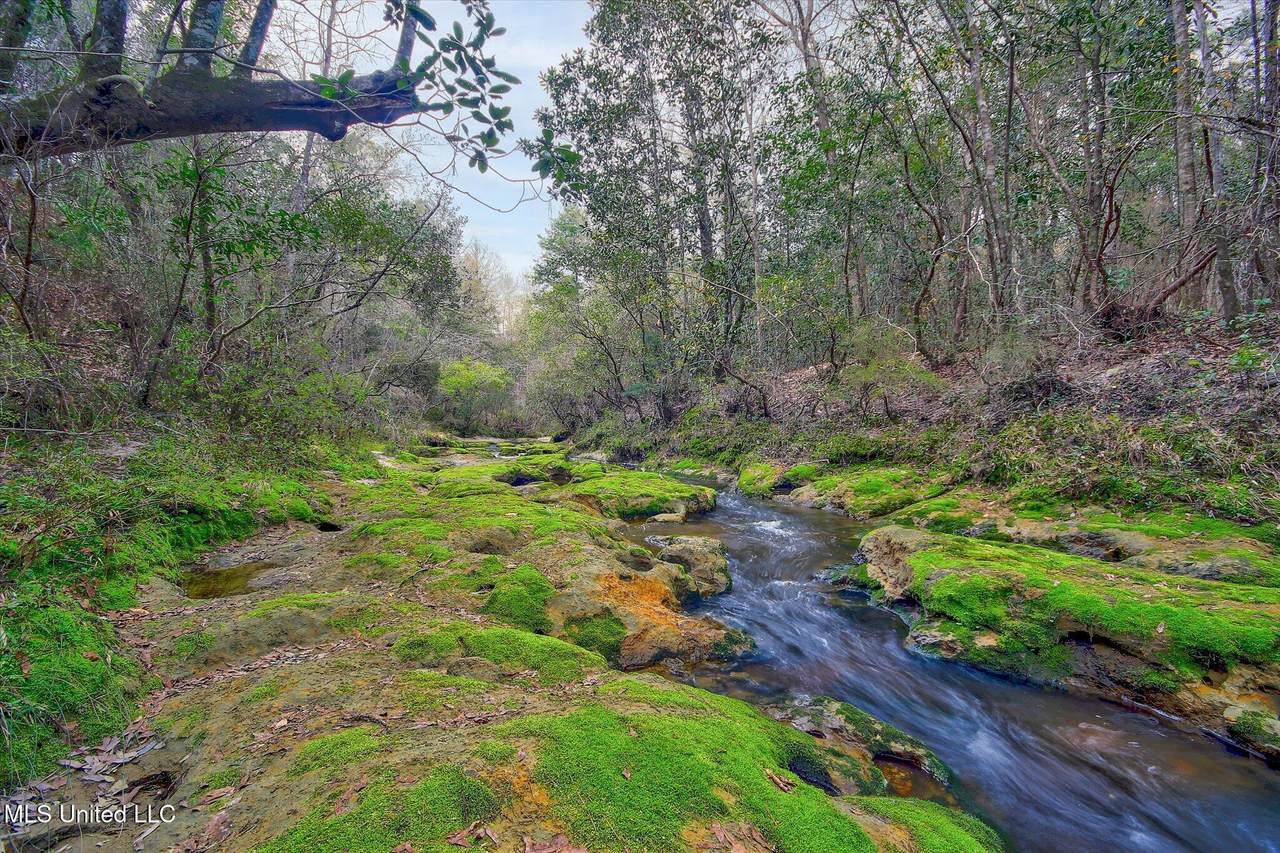 22445 Road 374 - Photo 1