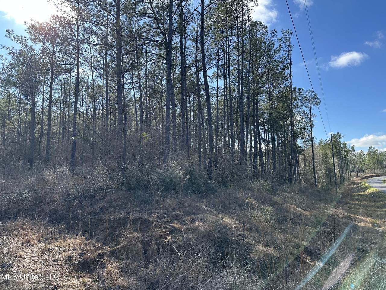  Emile Davis Road - Photo 1