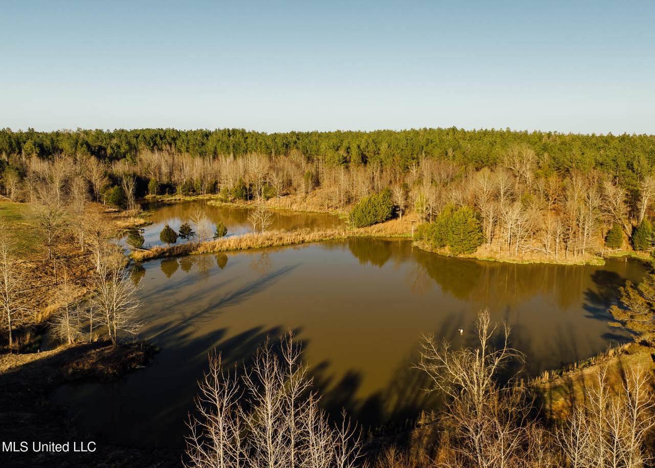  Alfred Phelps Lane - Photo 1