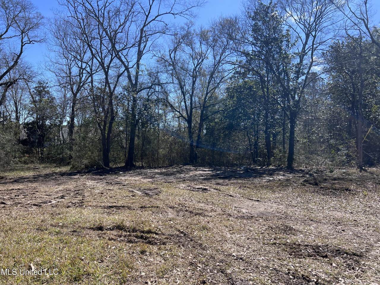 11398 Memphis Avenue - Photo 1