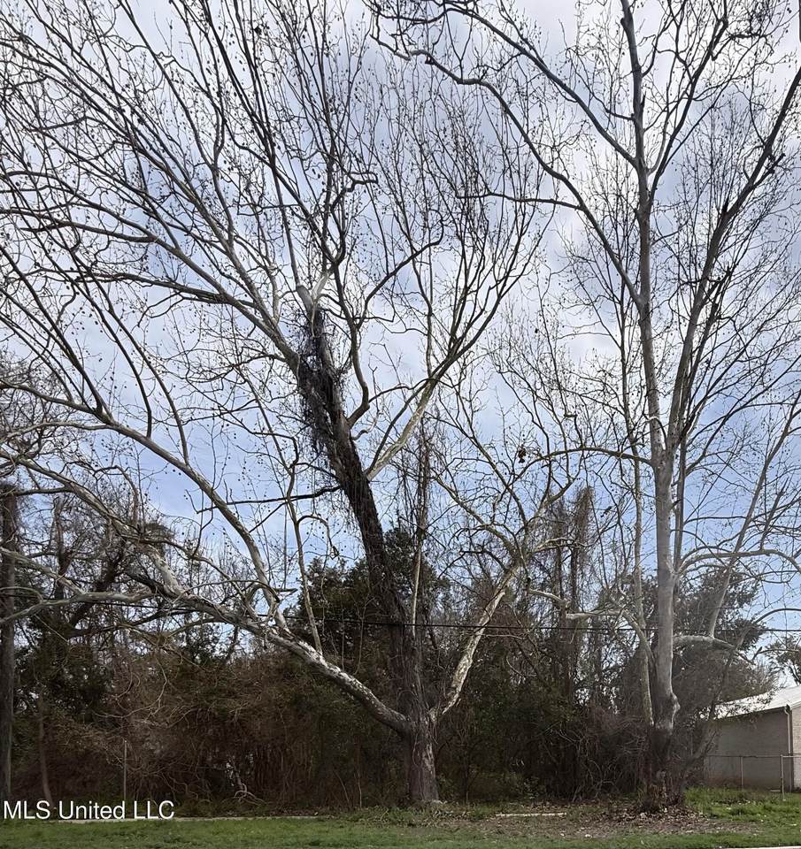  30th Avenue - Photo 1