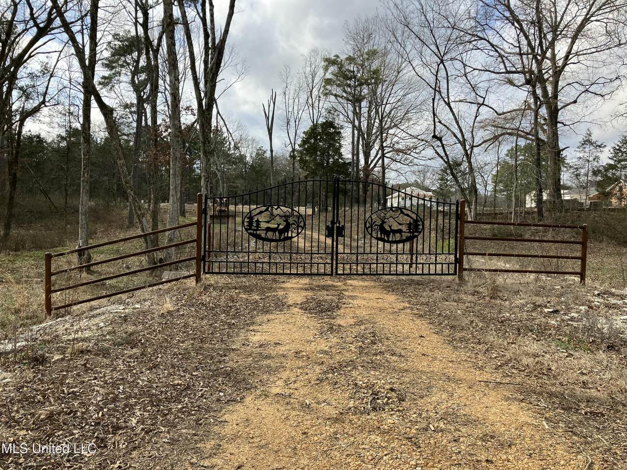  Looxahoma Tyro Road - Photo 1