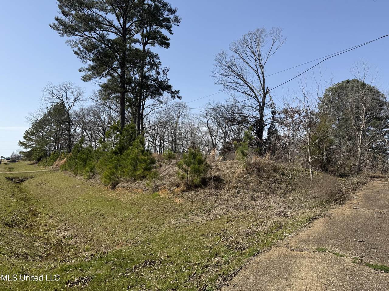 5220 Highway 80 - Photo 1