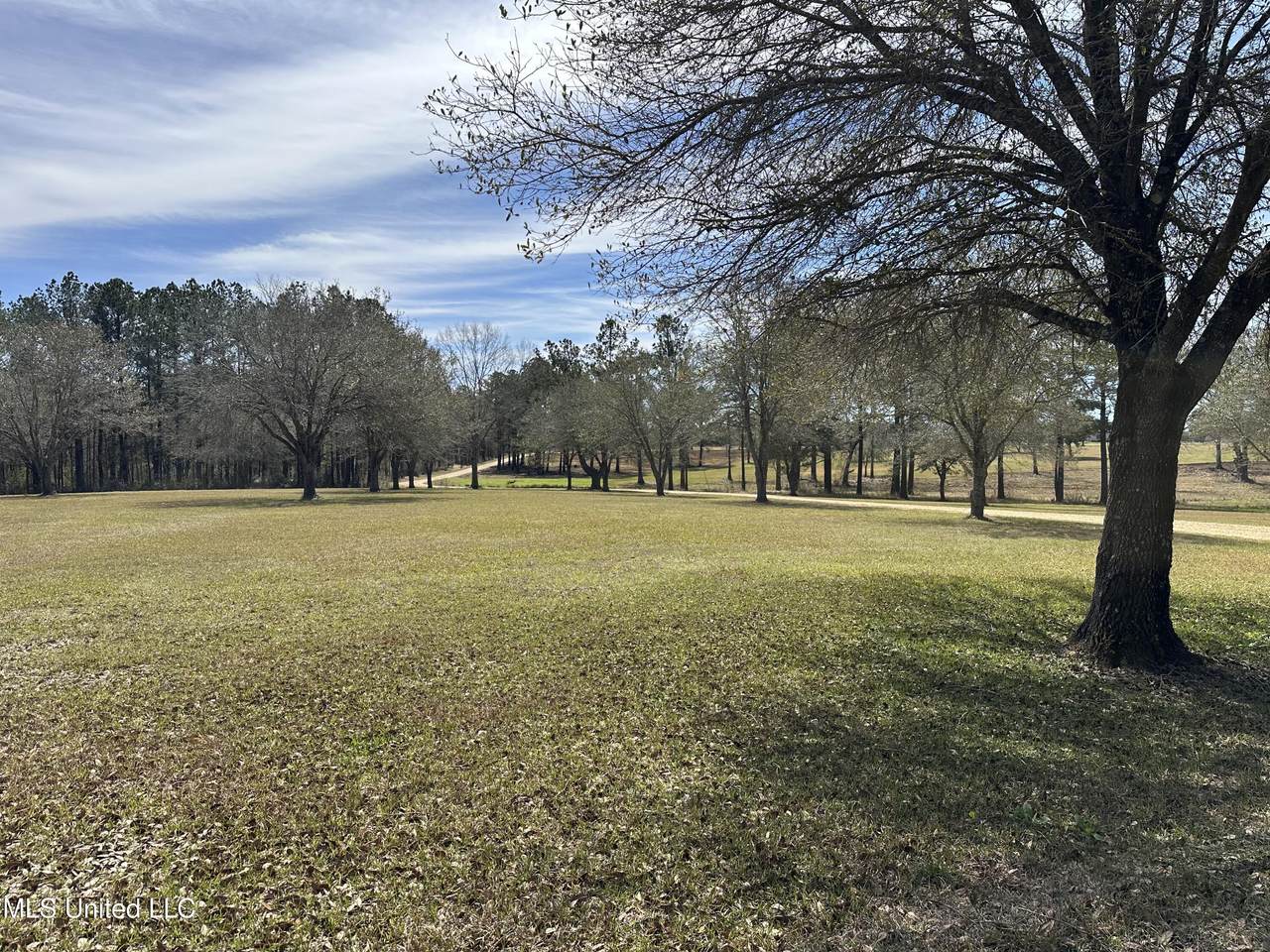  New Arbor Lot 1B Road - Photo 1