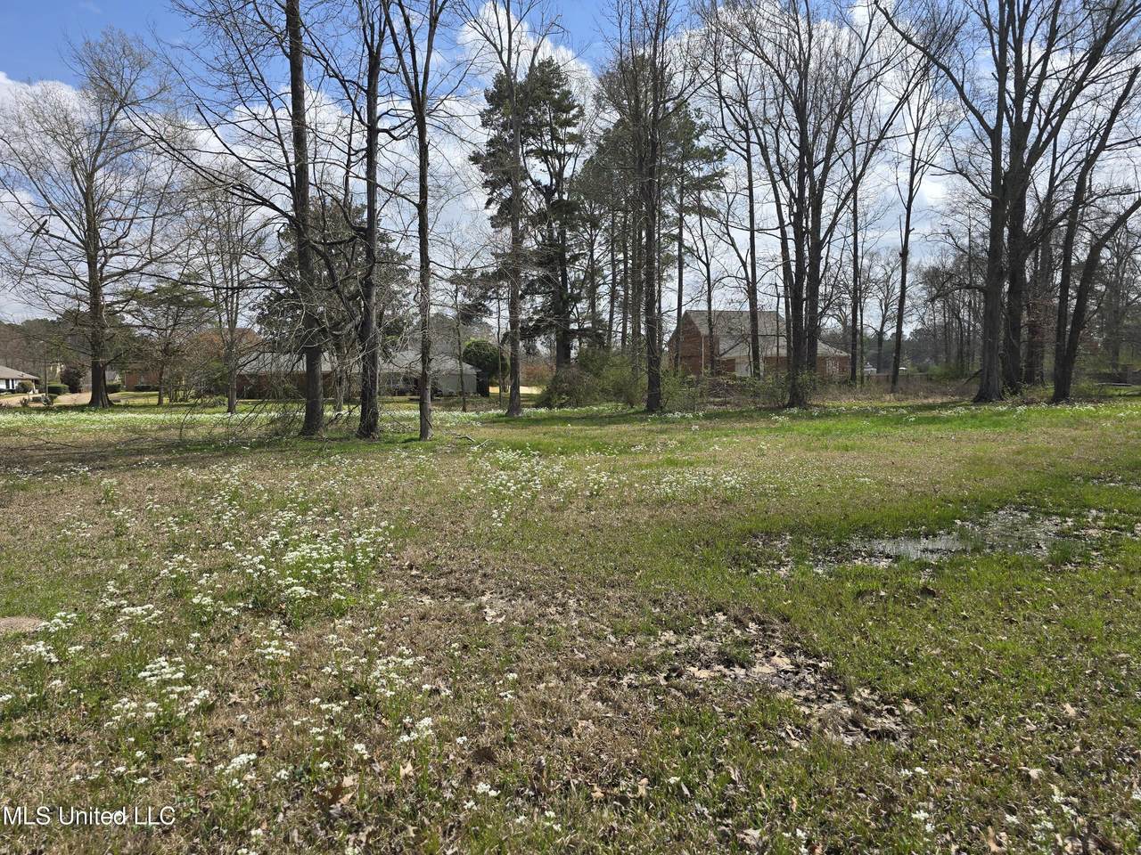  Hallmark Drive - Photo 1