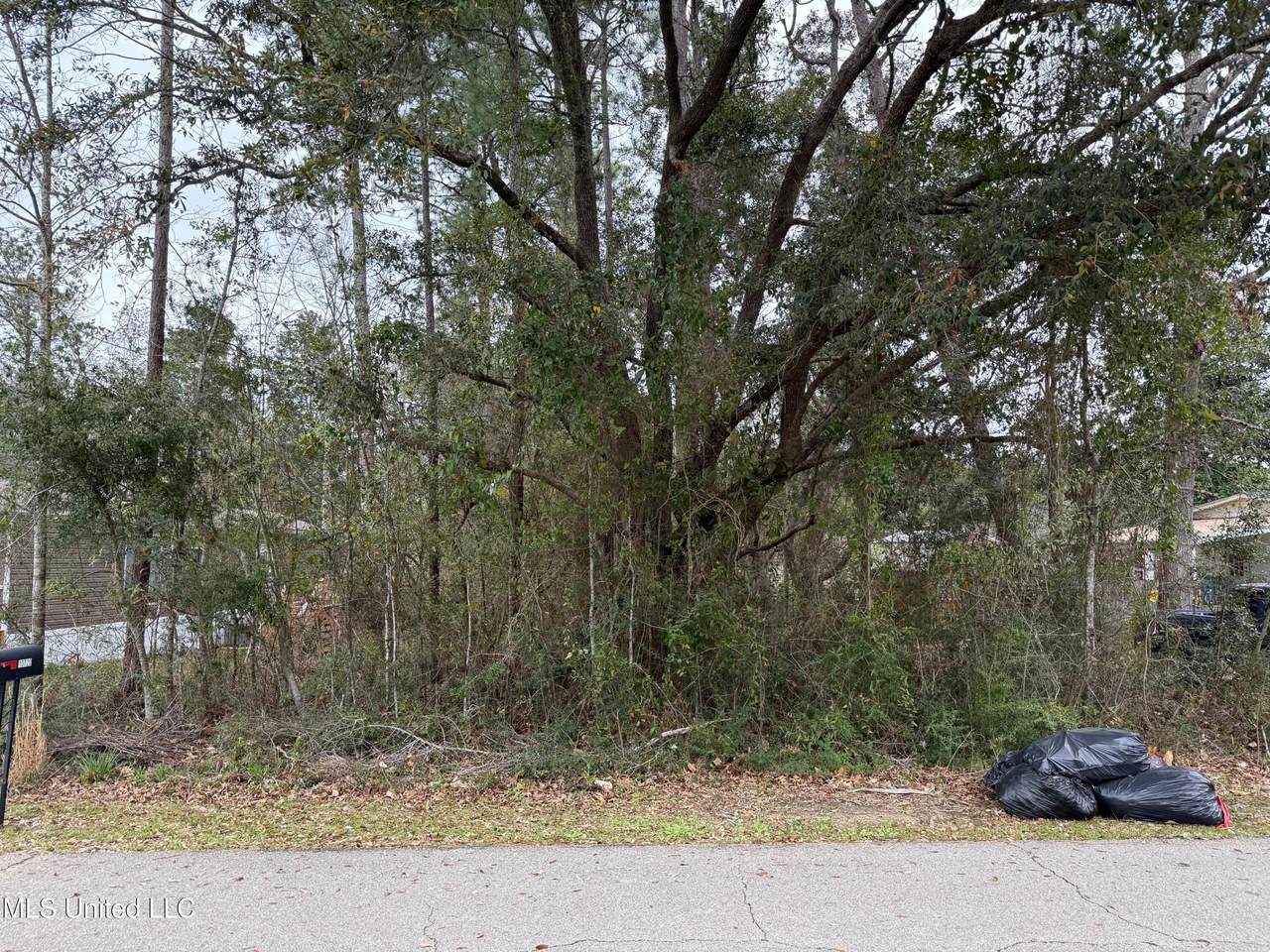 10721 Lilinoe Way - Photo 1