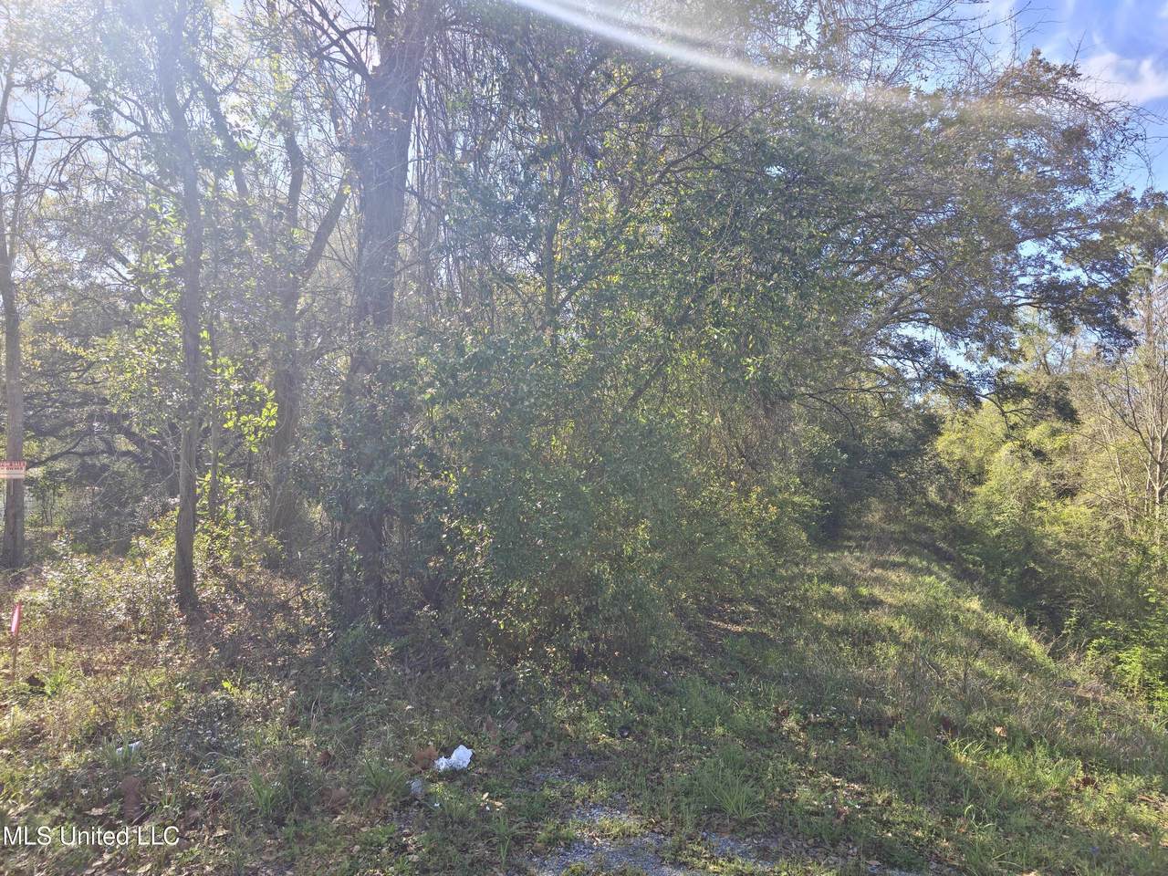  31st Street - Photo 1