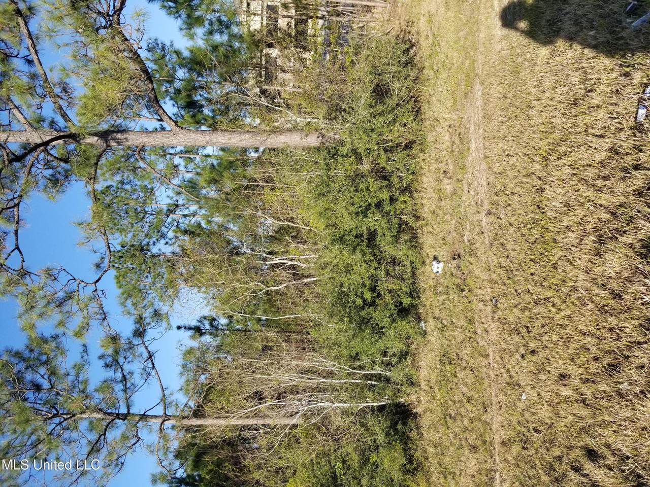 Ms-57 Highway - Photo 1