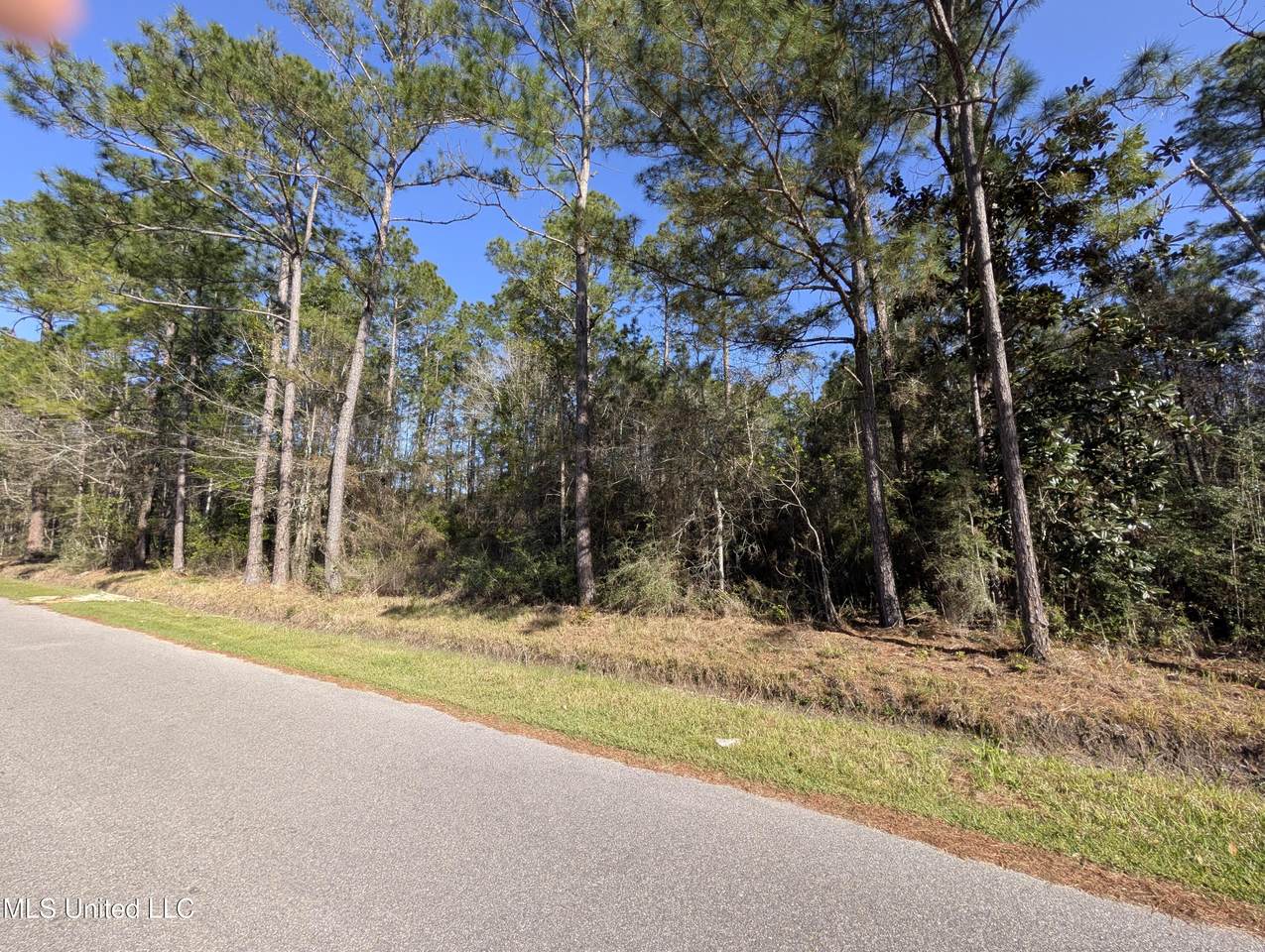  Clay   Lot 38 Street - Photo 1