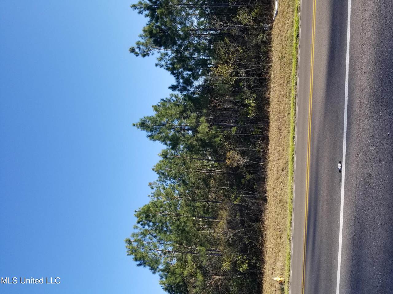 Gautier Vancleave Road - Photo 1
