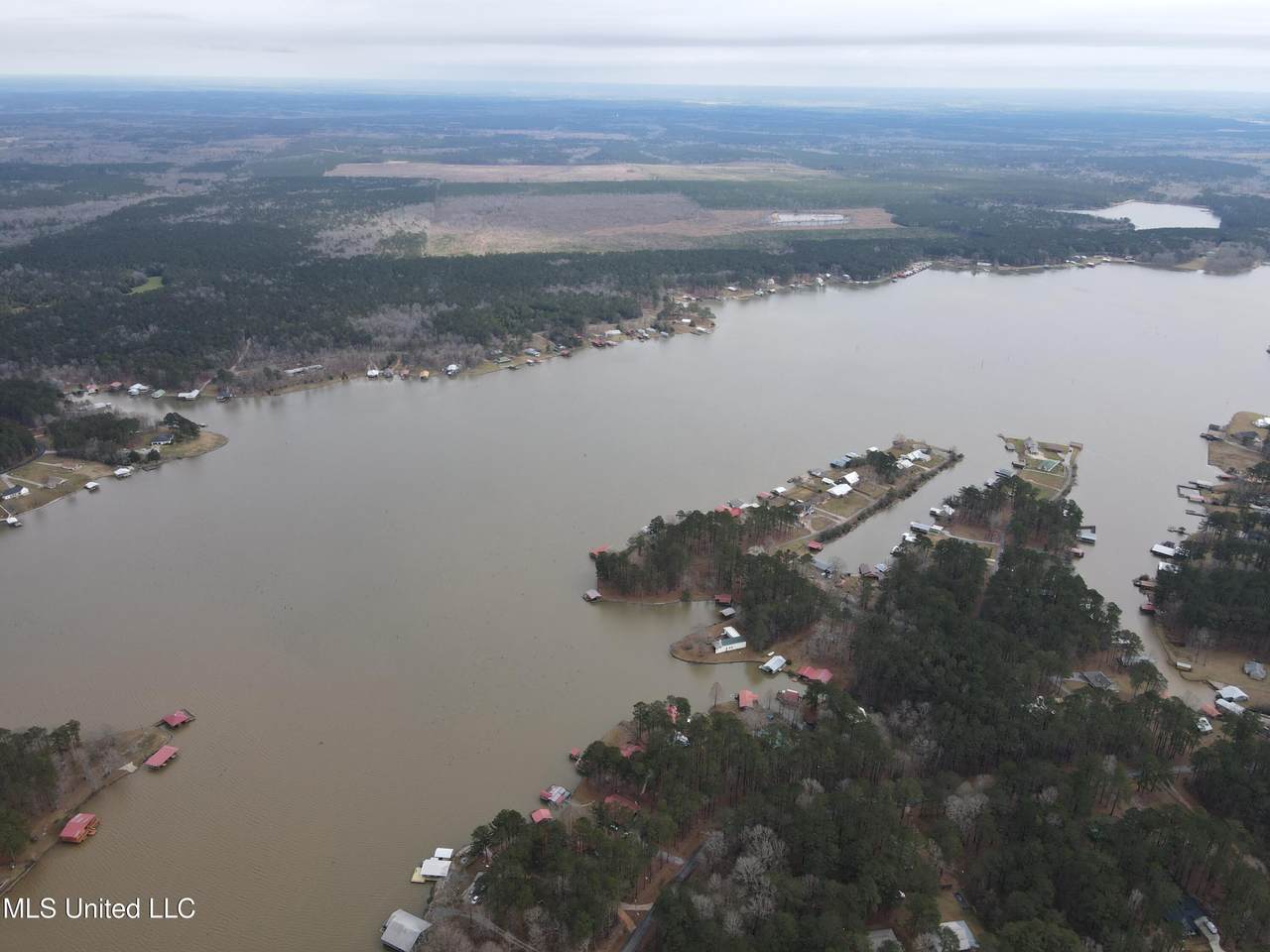  Pine Tree Road - Photo 1