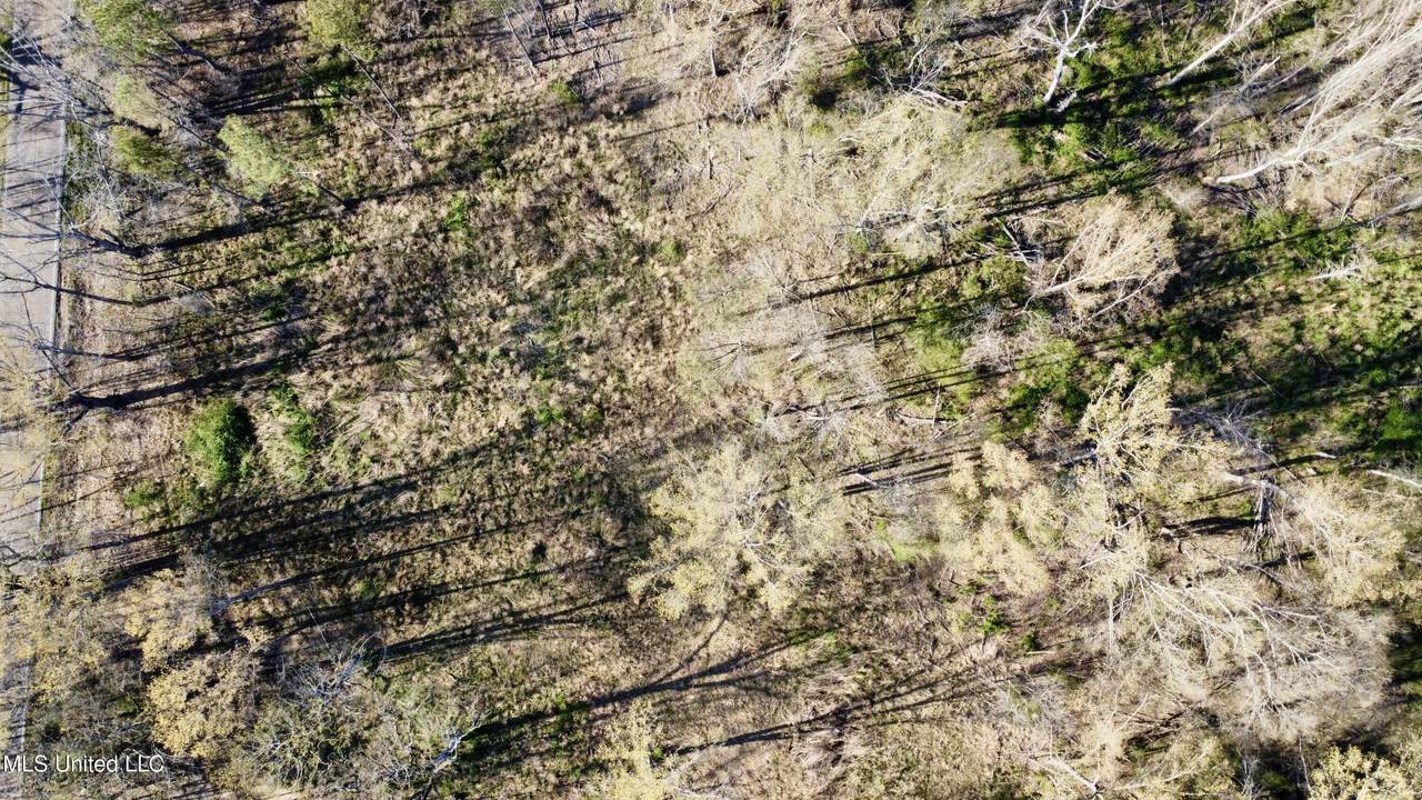 5370 Clinton-Tinnin Road - Photo 1