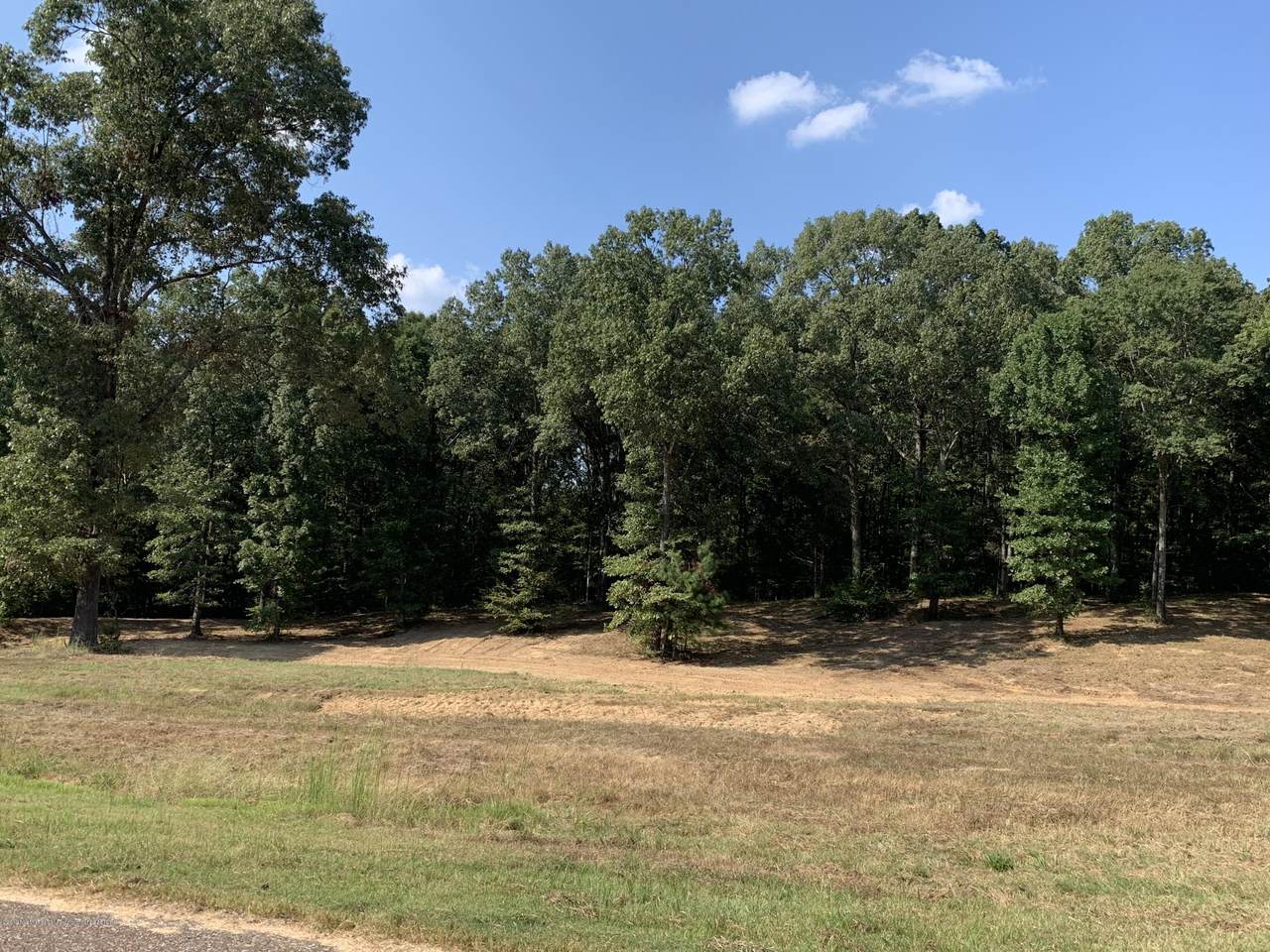 2644 Plank Road - Photo 1