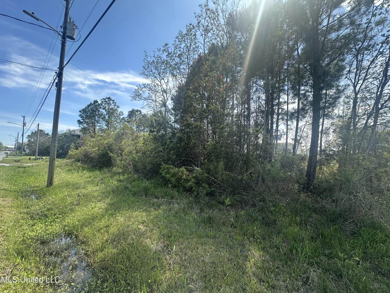 000 Pine Ridge Drive - Photo 1