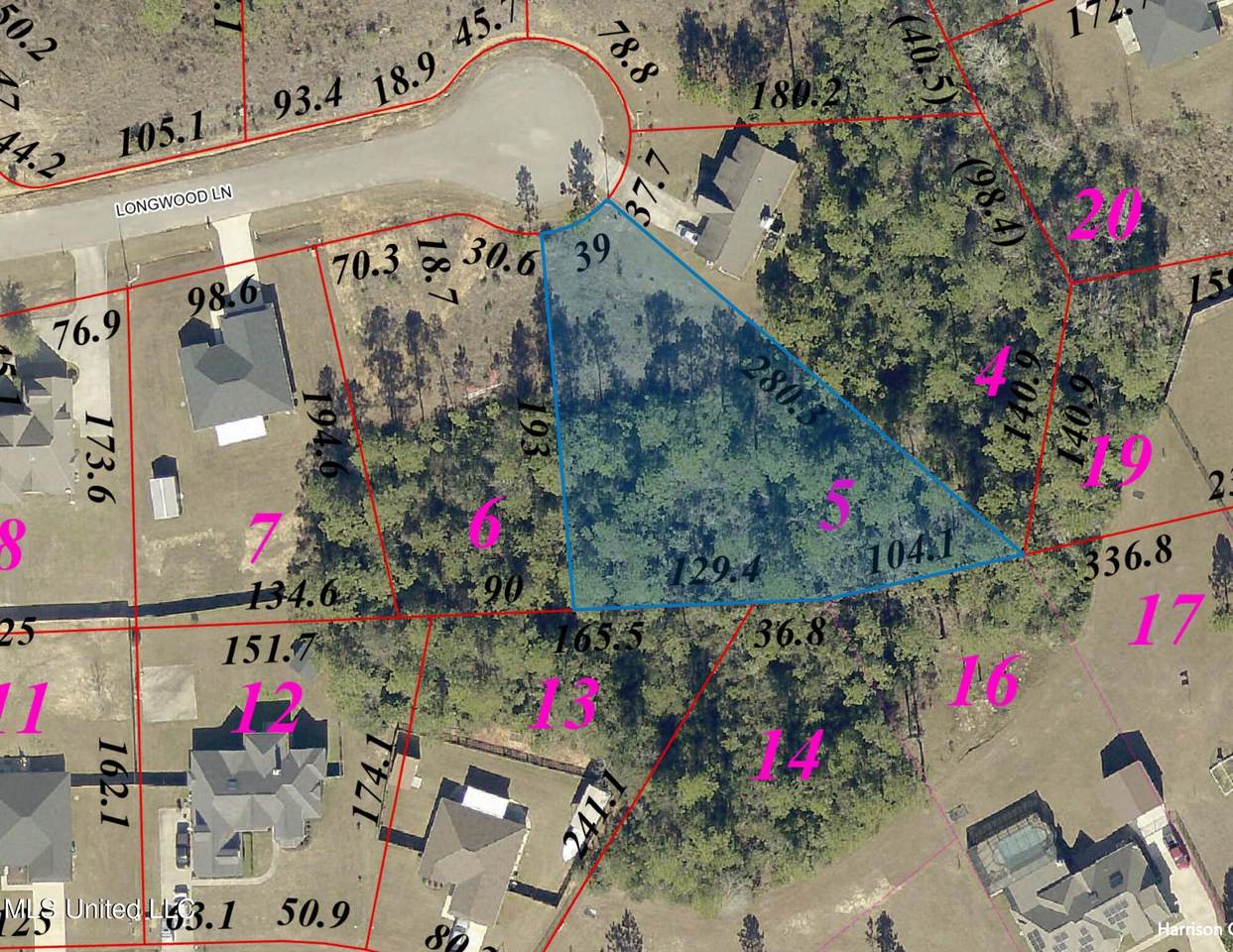  Lot 5 Longwood Lane - Photo 1