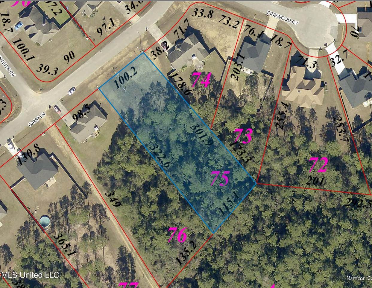 14964 Camp Lane - Photo 1