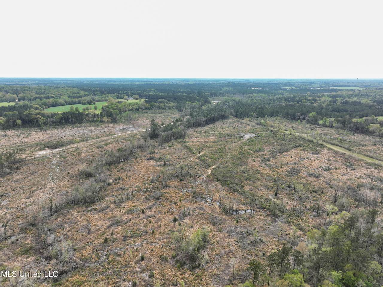  Highway 53 - Photo 1