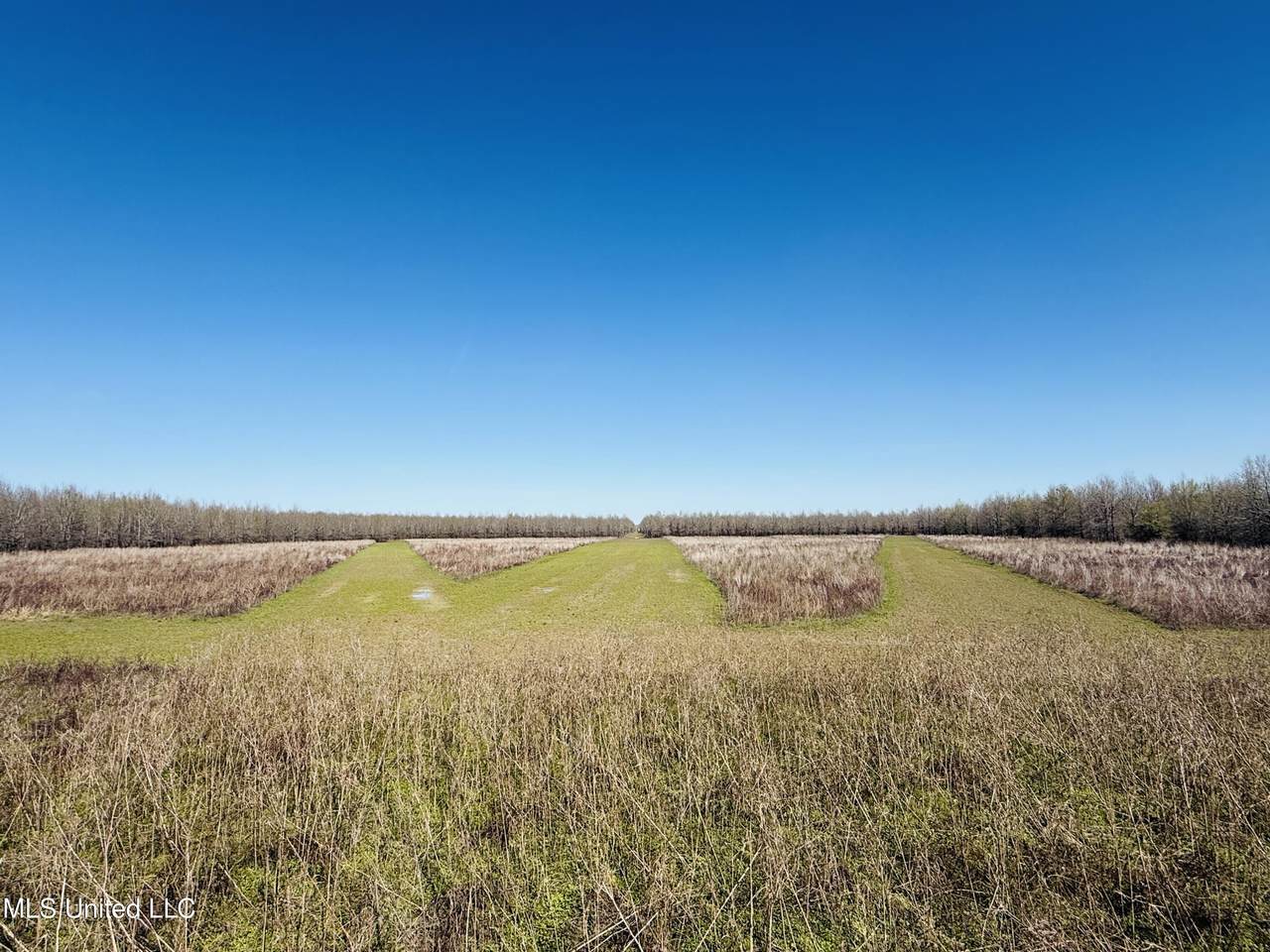 0 Priddy Road - Photo 1