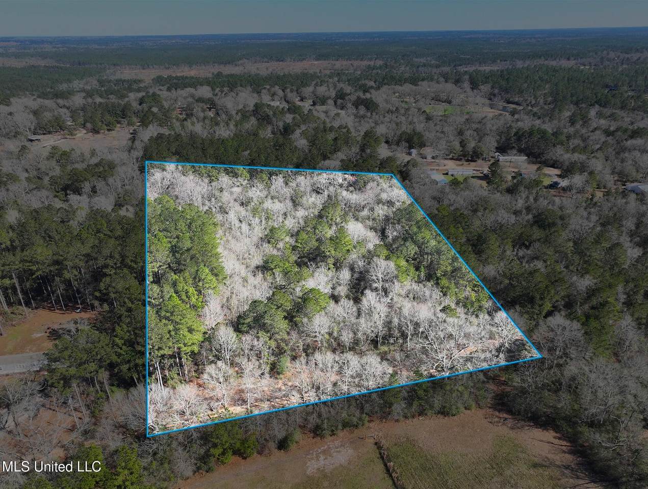 57 Benjamin Lane - Photo 1