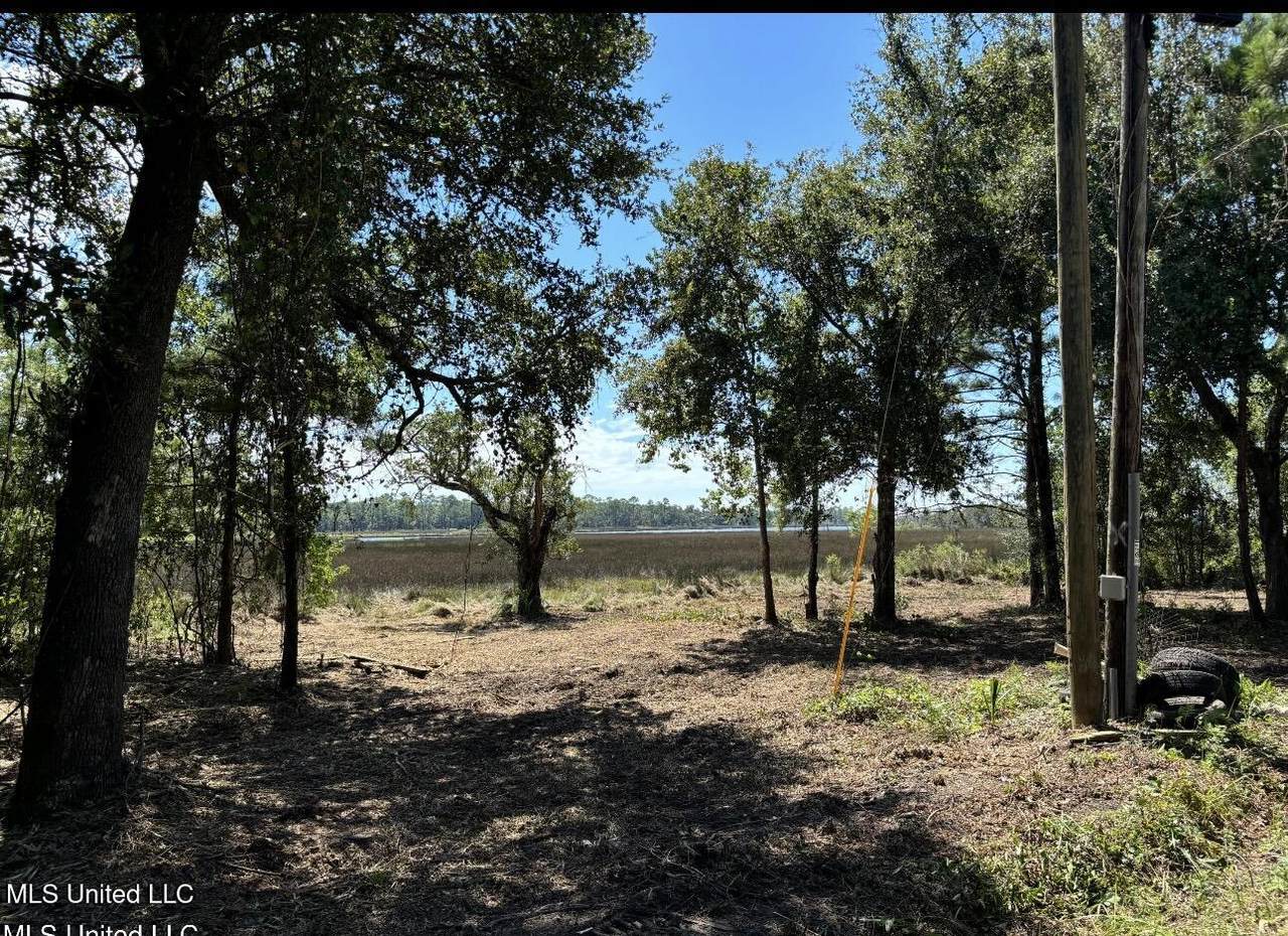 3024 Magnolia Lane - Photo 1