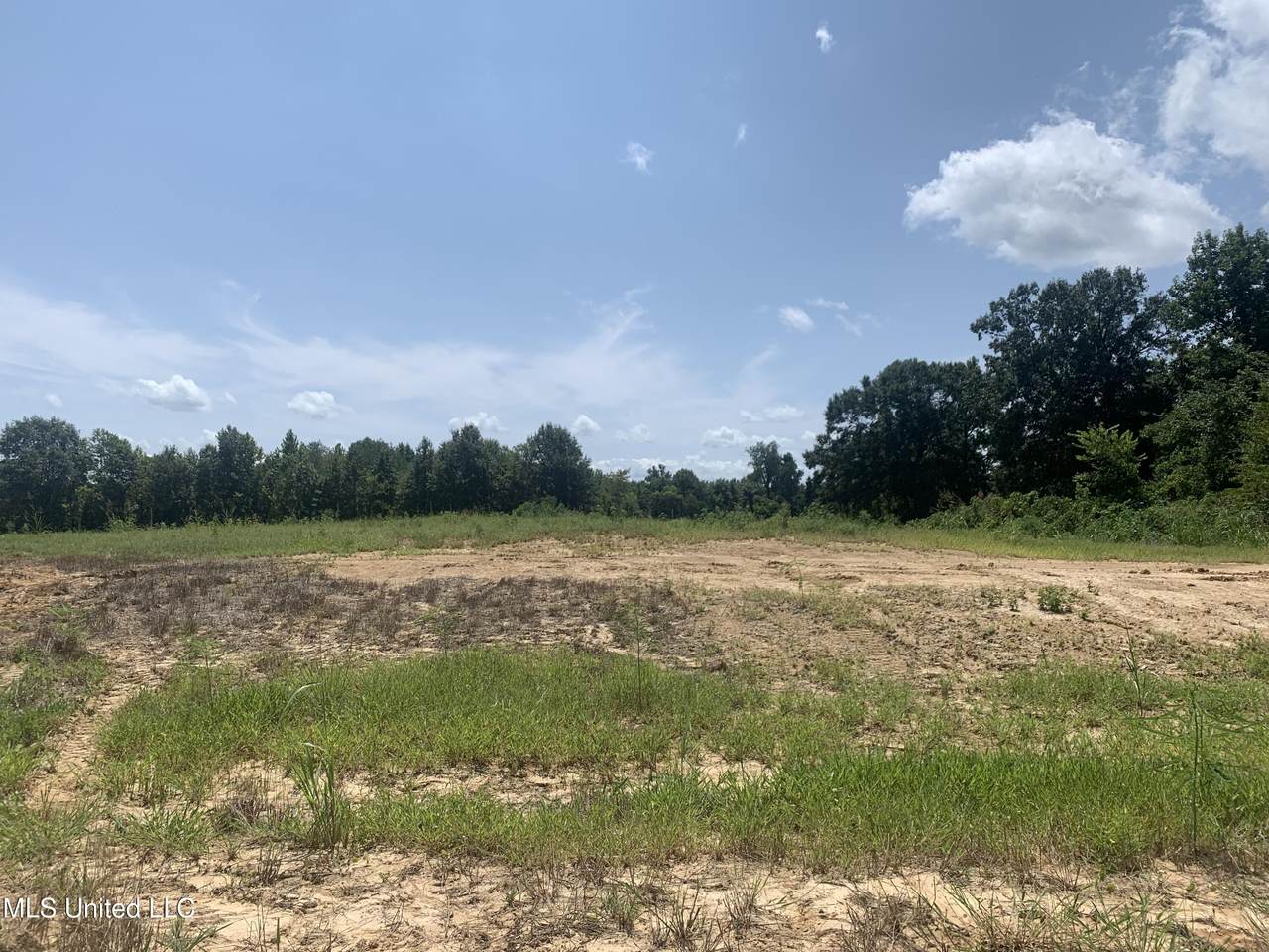 44 Deerwood Crossing Drive - Photo 1