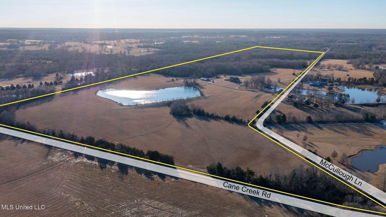 0 Cane Creek Road - Photo 1