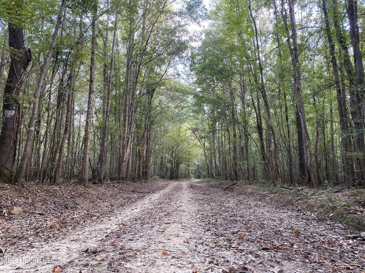  Big Cedar Creek Road - Photo 1