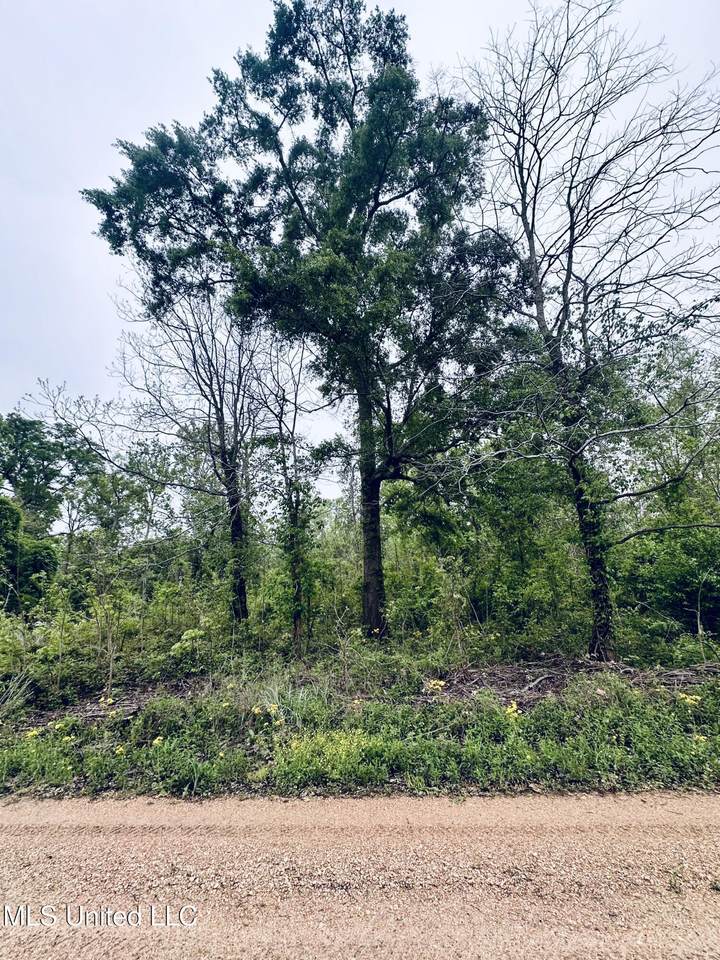  Pecan Grove Road - Photo 1