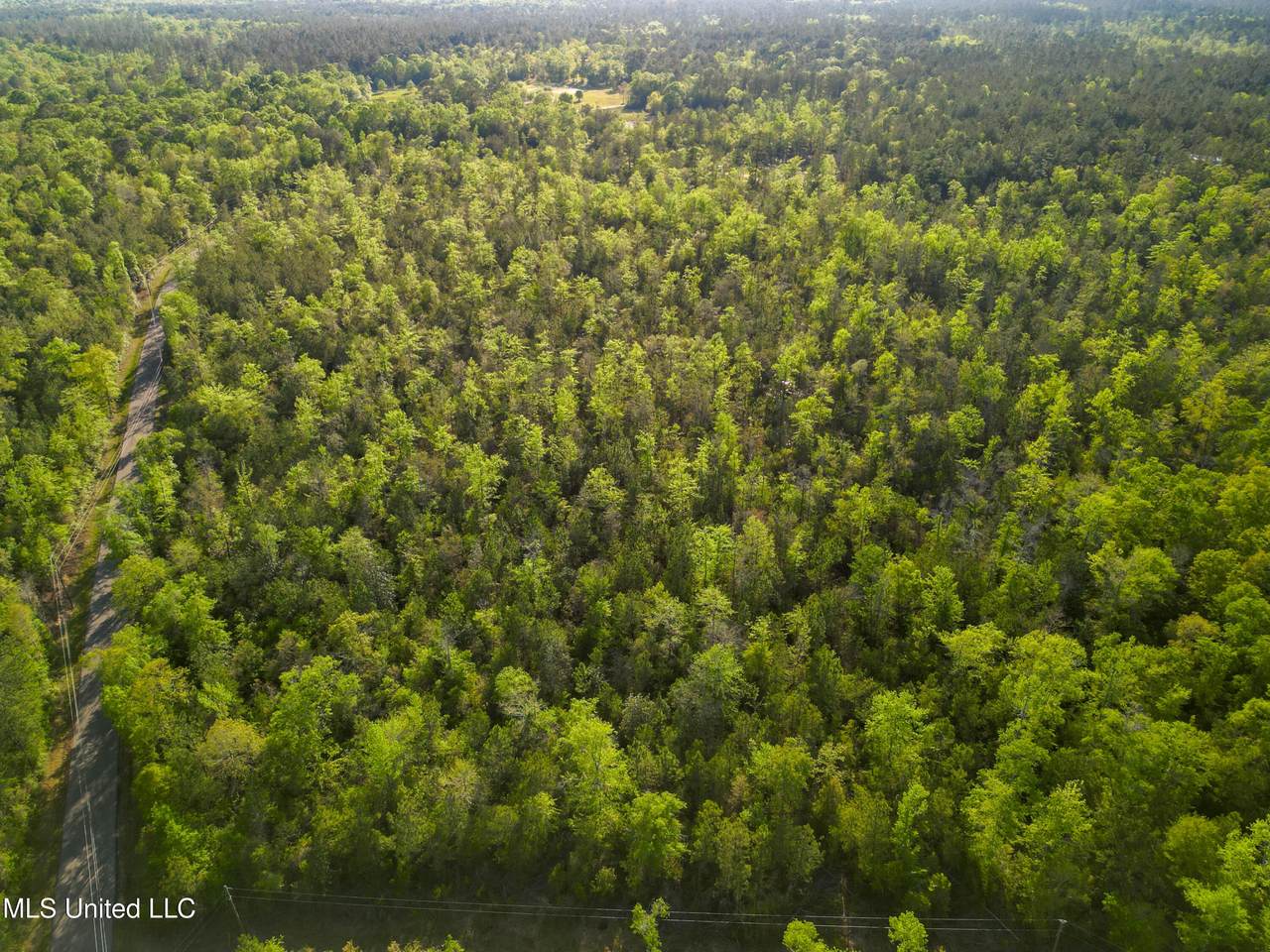  Peewee Miller Road - Photo 1