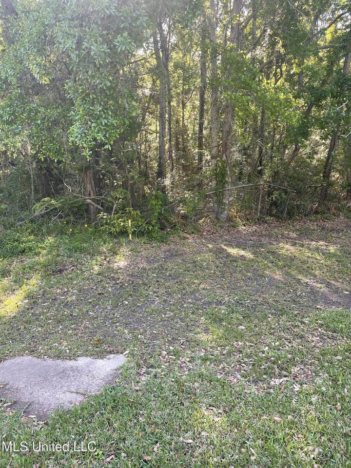  Beechwood Street - Photo 1