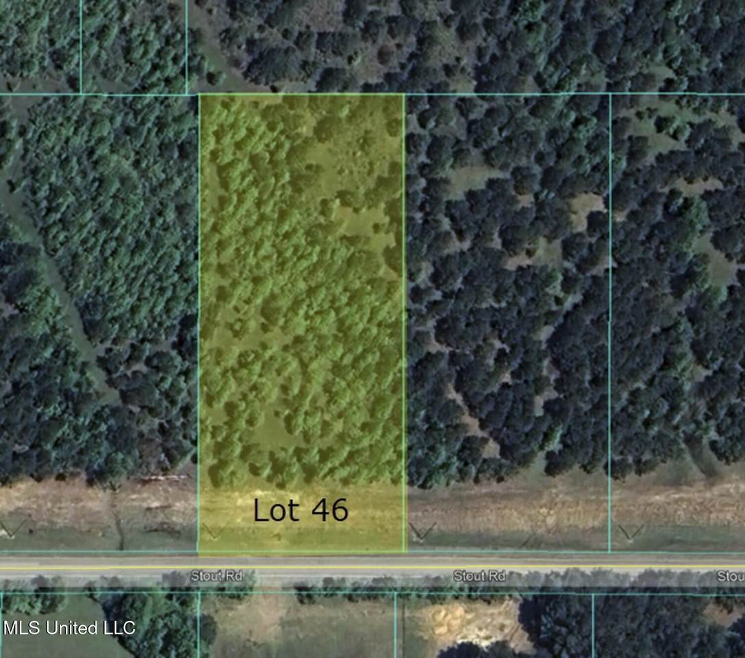  Stout Road - Photo 1