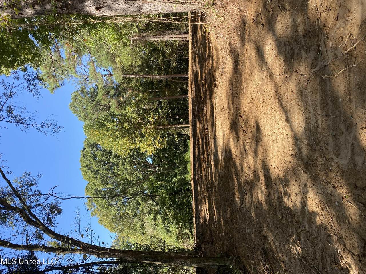 O Bluff Road - Photo 1