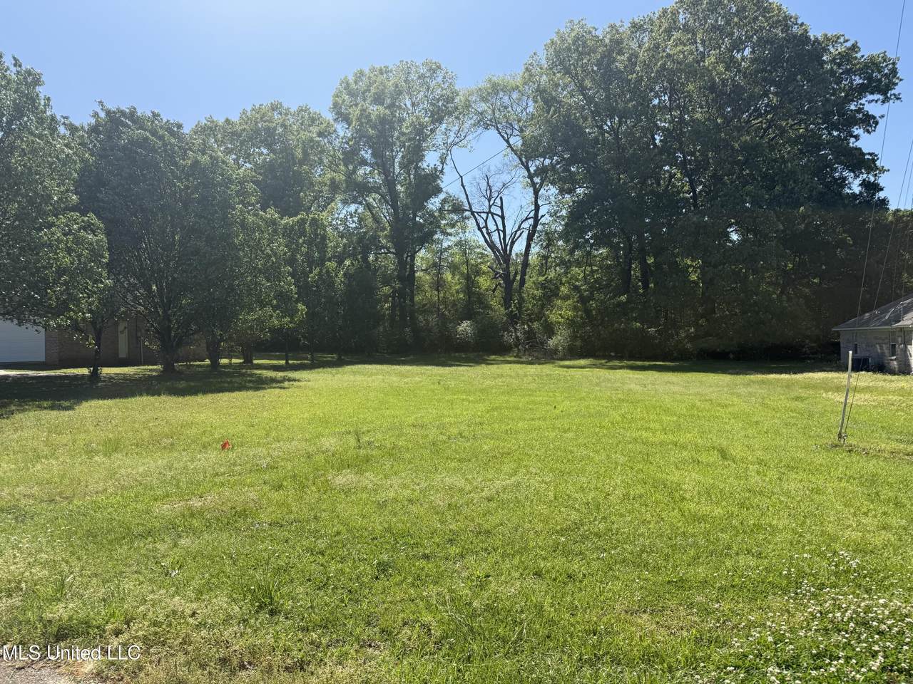  Willis Cove - Photo 1