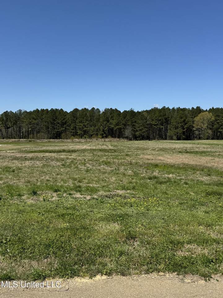  Clark Stables Rd Road - Photo 1