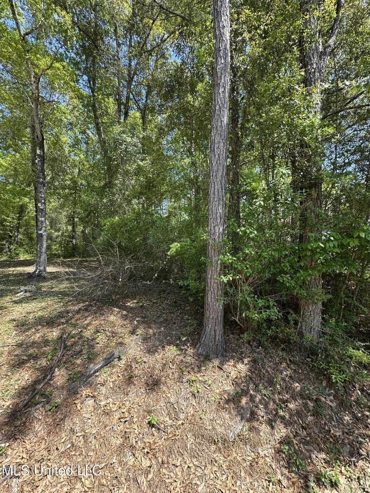  Kale Place - Photo 1