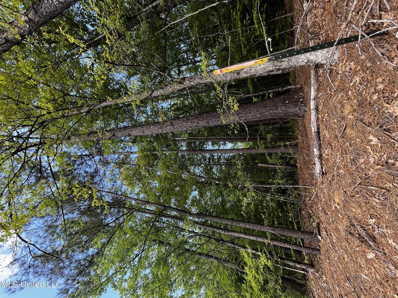 0 Bend Road - Photo 1