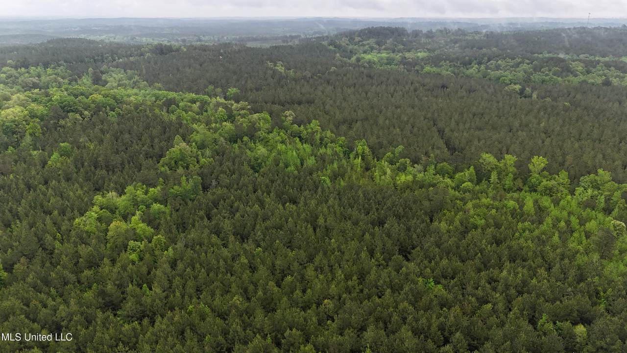  Bethlehem Road - Photo 1